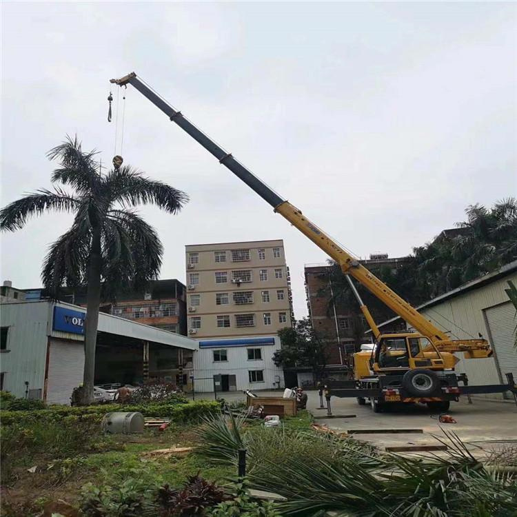 荥经汽车吊出租多少钱？全面解析与市场行情